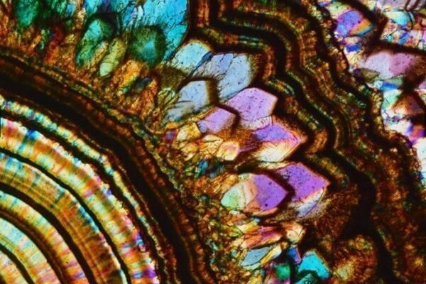 beautiful mineral rocks in microview: Brazilian agate
